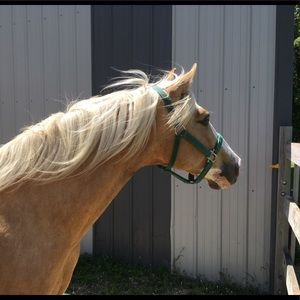 Meet your Posher, Kathryn